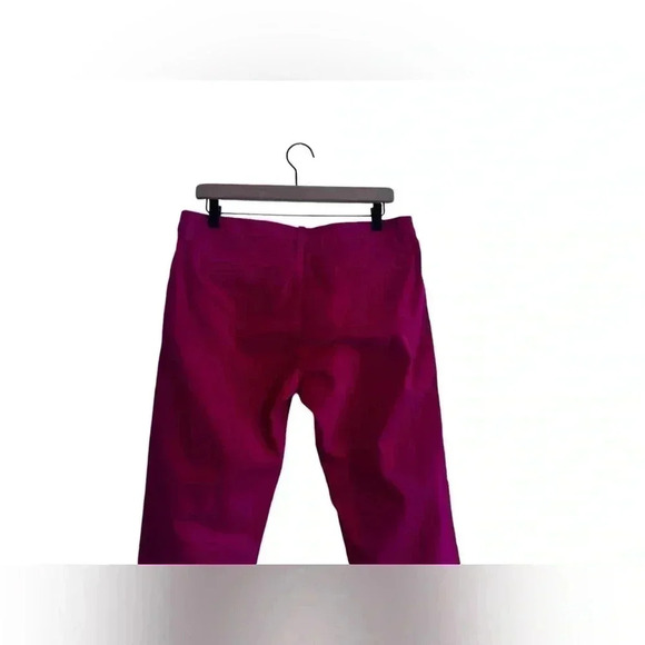 FRANK & EILEEN WICKLOW ITALIAN CROP CHINO PANTS Size 10 - Picture 4 of 16